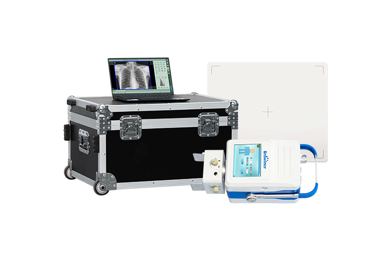 Portable X-ray System